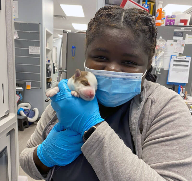 Ann with a baby animal