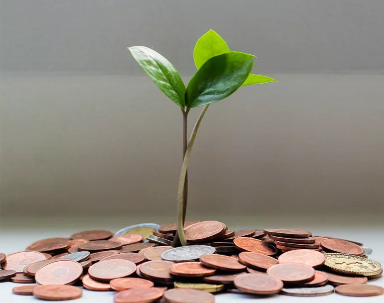 plant growing from money symbolizing growing wealth | Covenant House - Financials