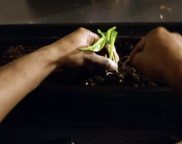 Track's Story with Covenant House