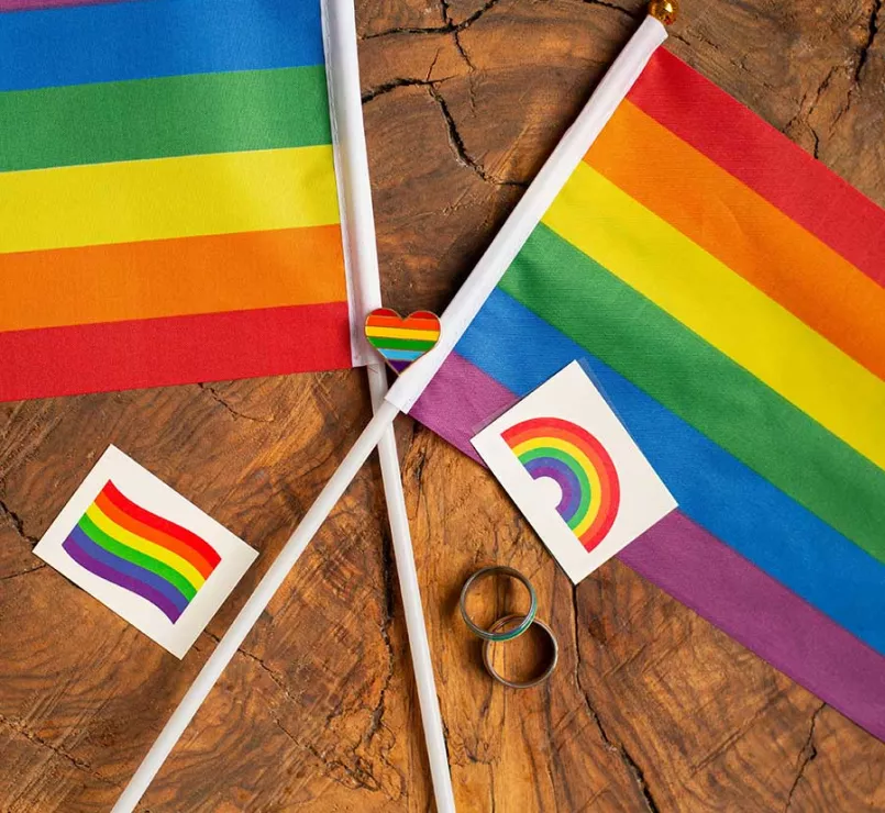 Pride rainbow LGBTQ+ Flags | Covenant House
